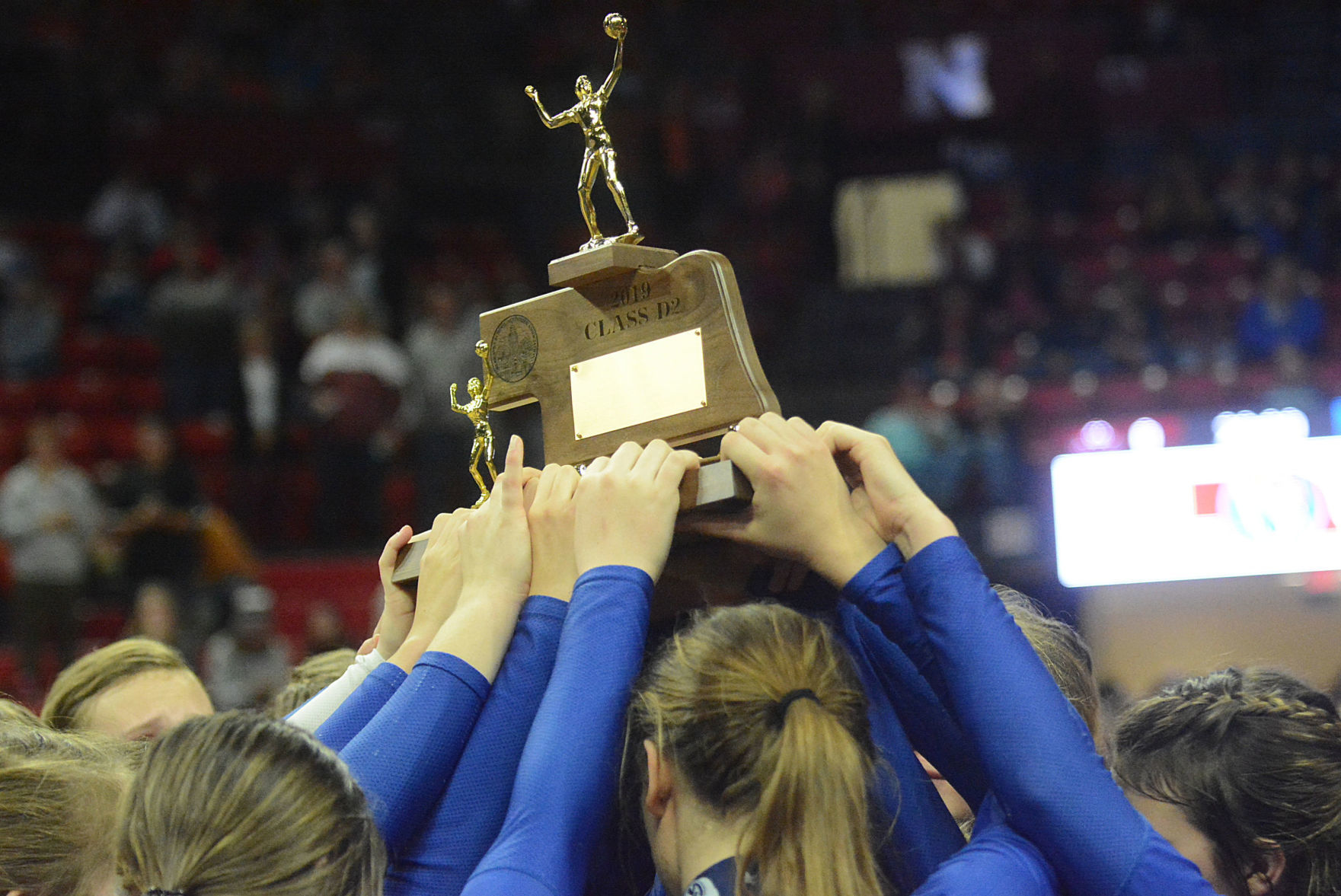 St. Francis Volleyball